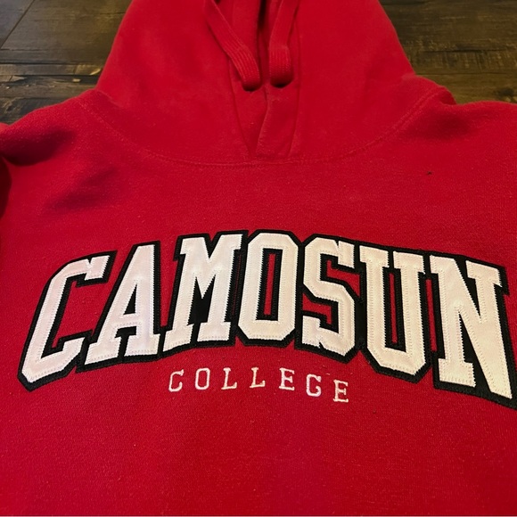 University College Hoodie - Picture 3 of 3